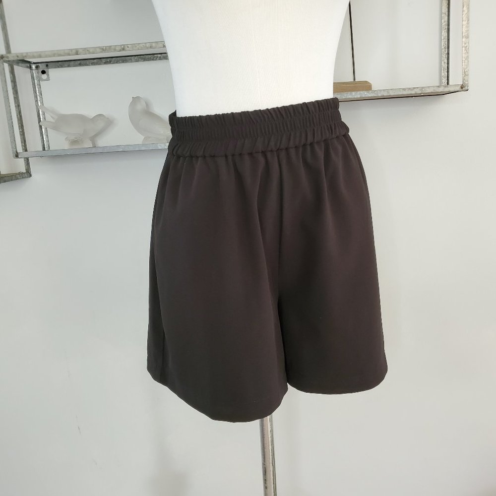 Frank & Oak Black Women's Shorts